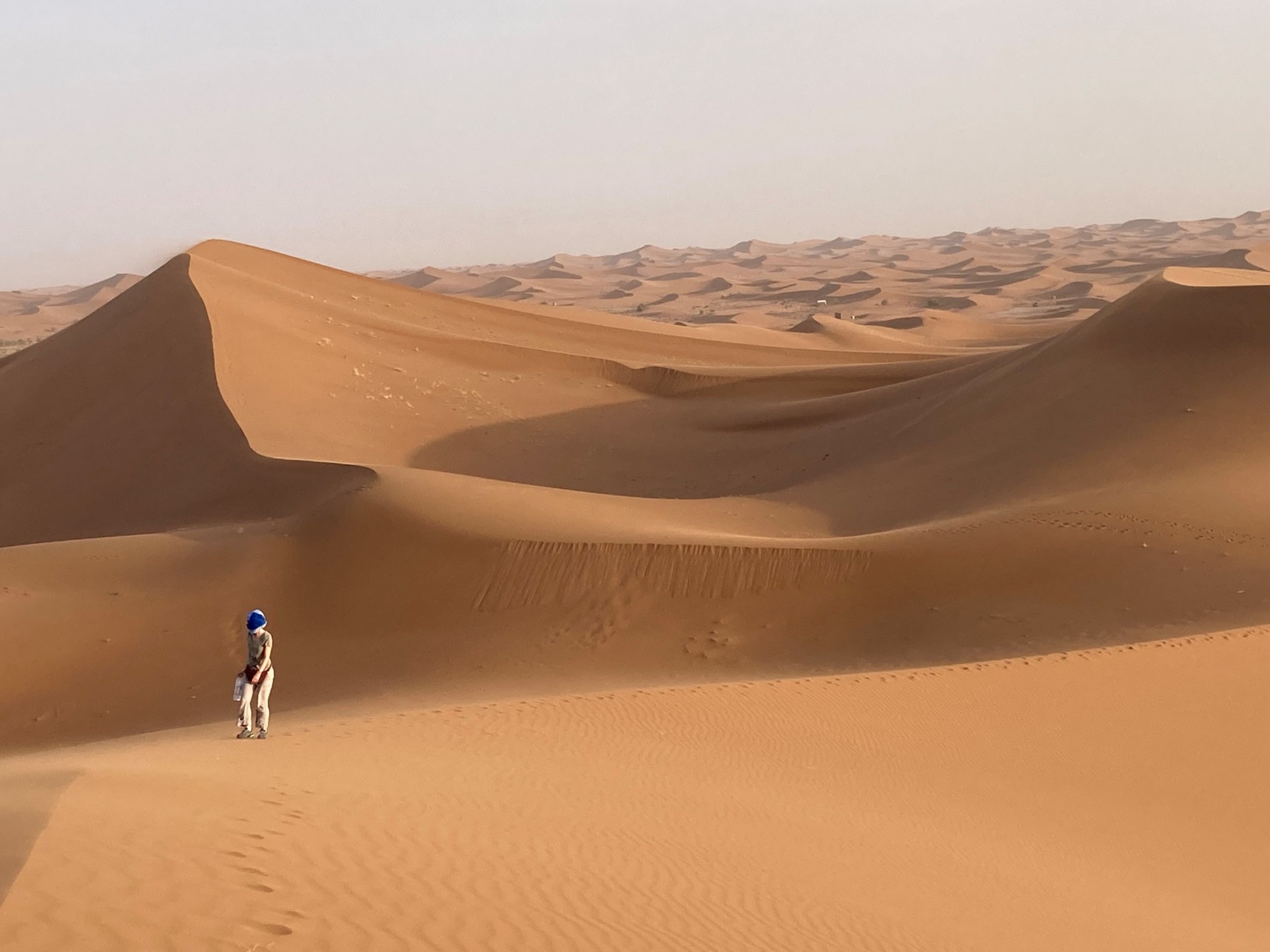 Desert