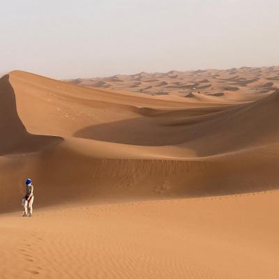 Desert