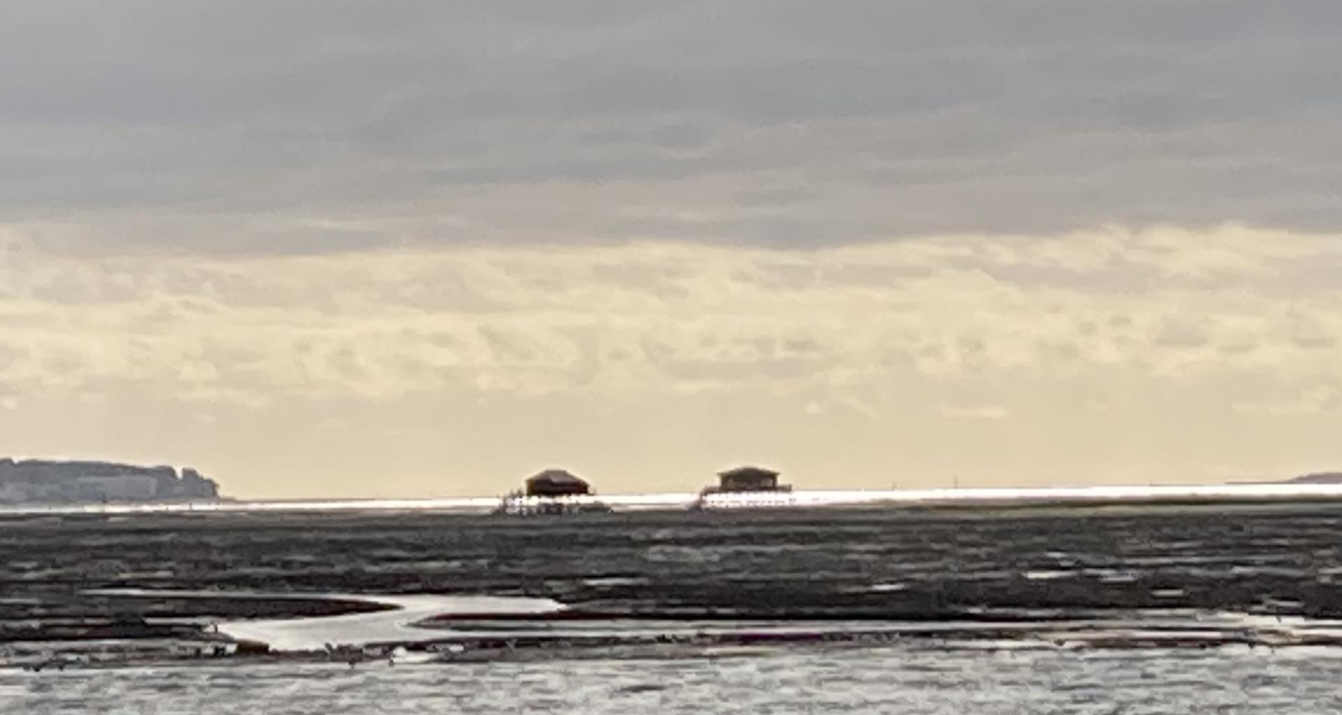 Ile aux oiseaux