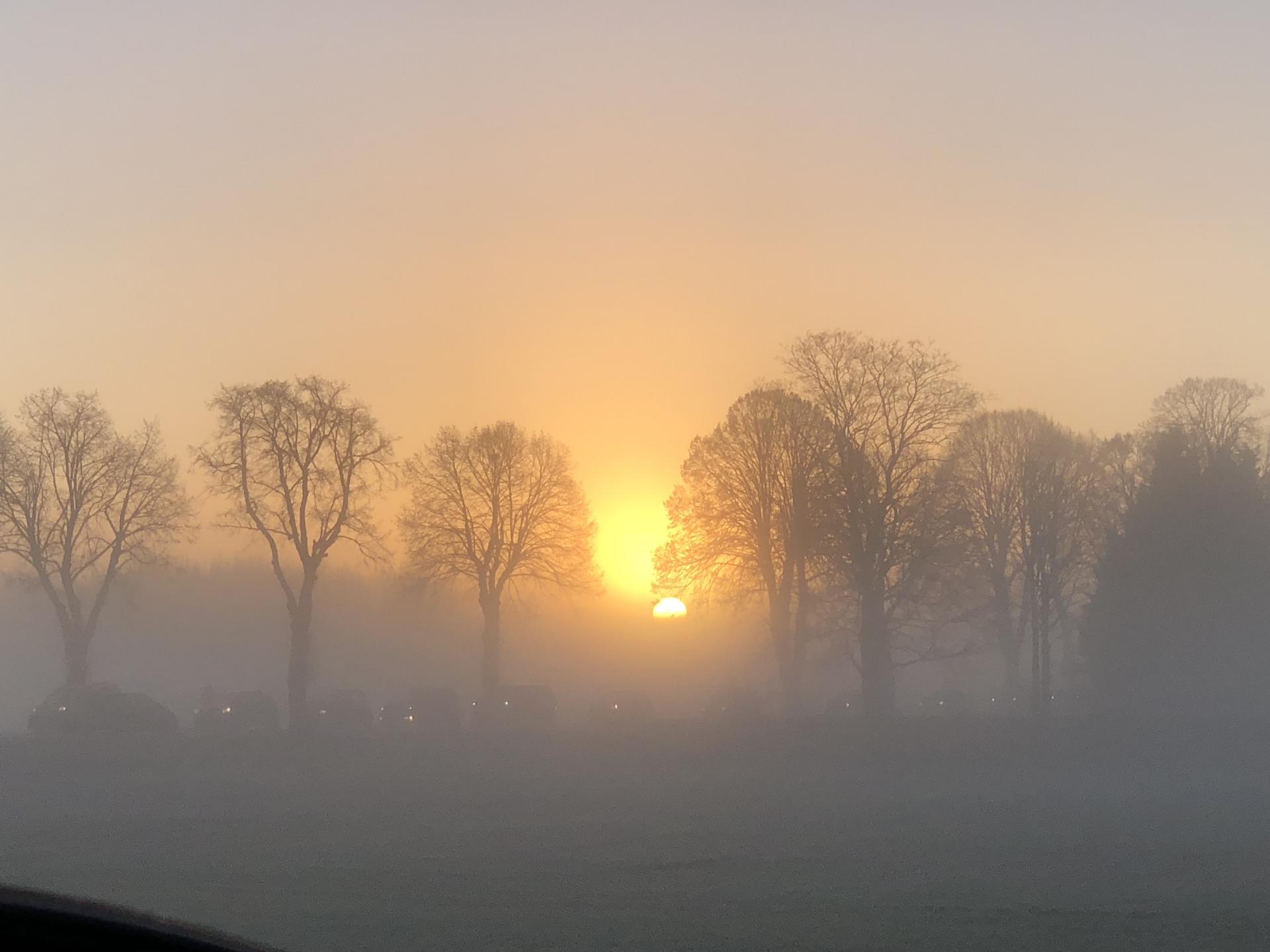 Img 2359