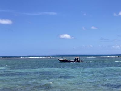 Img 4432