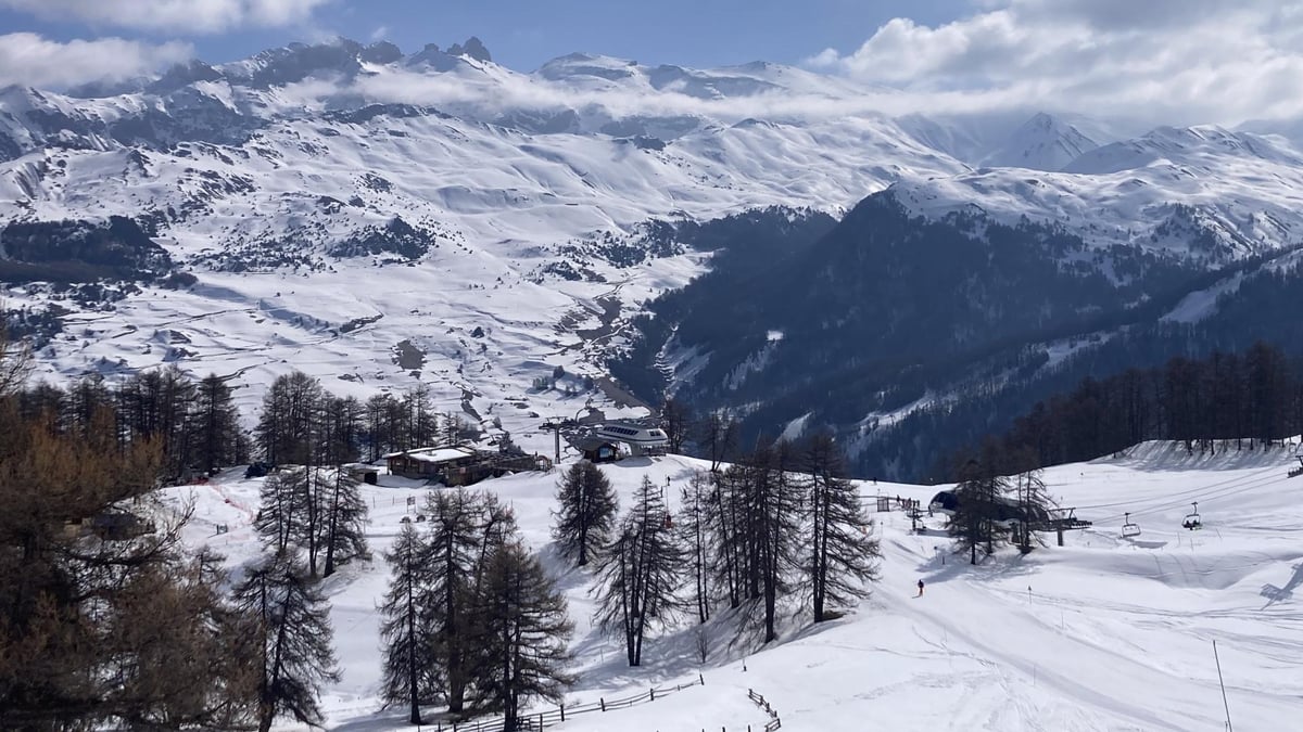 Mont1
