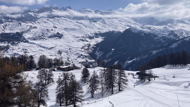 Mont1